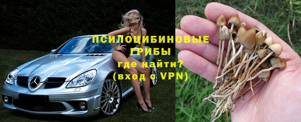 MDMA Premium VHQ Карпинск