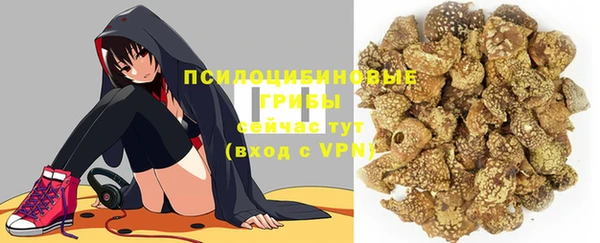 прущие грибы Корсаков