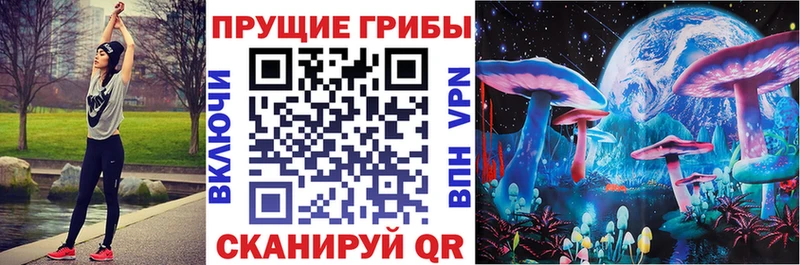 Купить  Сортавала  Галлюциногенные грибы Psilocybe 